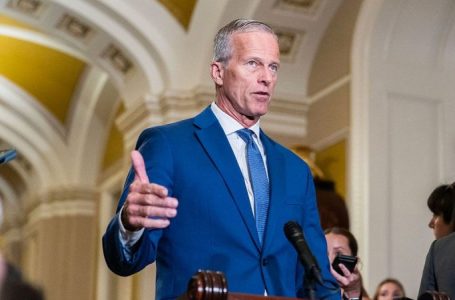 Thune pans Democrats’ shutdown stance as ‘borderline pathological,’ ‘like a disease’