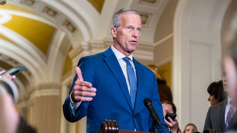  Thune pans Democrats’ shutdown stance as ‘borderline pathological,’ ‘like a disease’