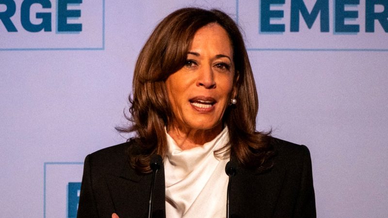  Kamala Harris says she ‘had no idea’ she ‘pulled the pin on a hand grenade’ with ‘The View’ answer about Biden
