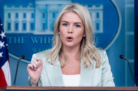 Dem crime policies crippling cities even in Red states as crackdown intensifies, White House warns