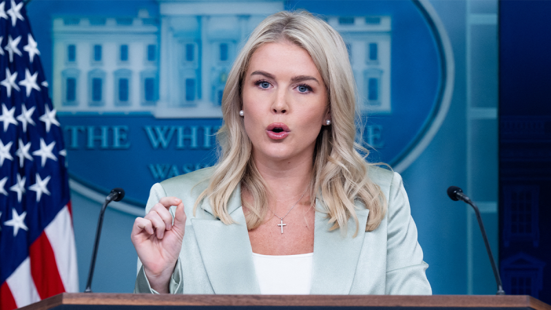  Dem crime policies crippling cities even in Red states as crackdown intensifies, White House warns