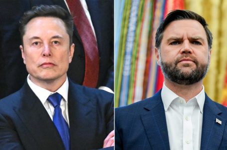 Elon Musk agrees with JD Vance on the ‘big lie the Democrats told about violent crime’