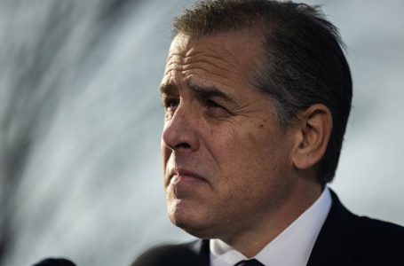 Hunter Biden breaks silence on pardon from dad Joe: ‘I realize how privileged I am’