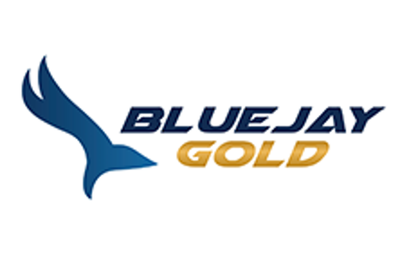  Blue Jay Gold