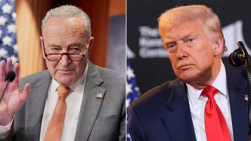  Blame Game: GOP spotlights ‘Schumer shutdown’ while Dems lash out at Republicans ahead of 2026 midterms