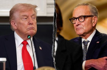White House slams Schumer’s ‘disgusting’ statement on shutdown as political standoff continues