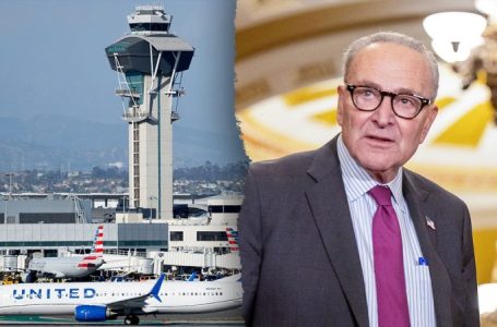 Americans could face airport chaos if Dems don’t end shutdown, Trump official warns