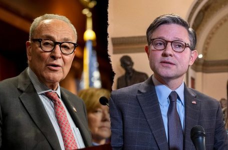Johnson sends critical signal to Schumer as Dems dig in on government shutdown chaos