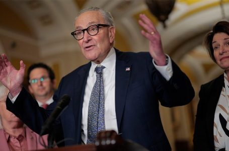 ‘Goofballs’ and hostages: GOP senators say Schumer’s shutdown tactics destroying the Senate