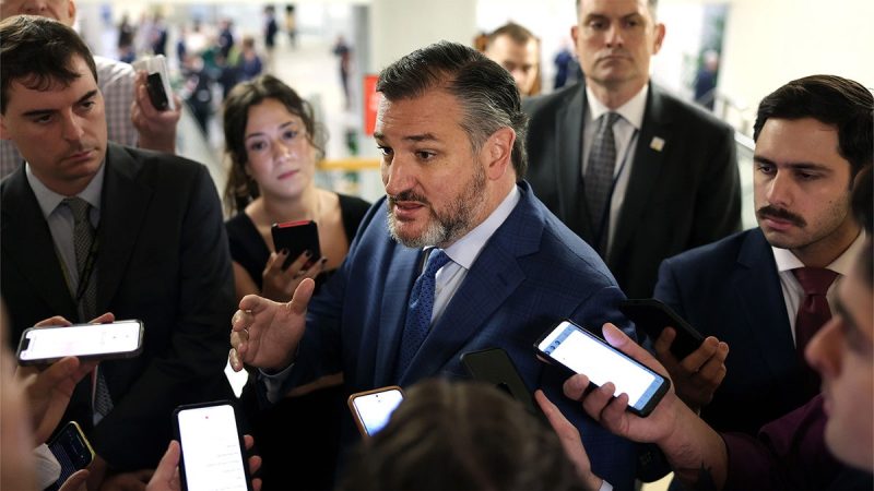  Cruz ‘cannot support’ Trump’s Kuwait ambassador pick over Muslim Brotherhood remarks