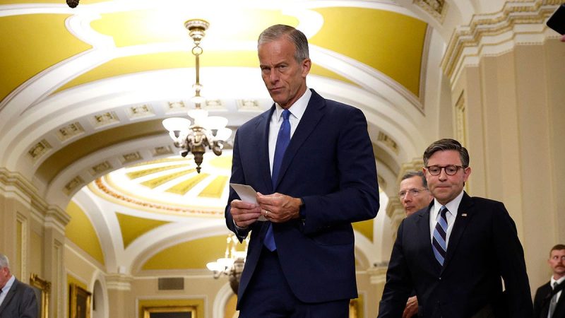 Thune torches Senate Dems for allowing ‘far-left’ lawmakers to hijack party after blocking crucial bill