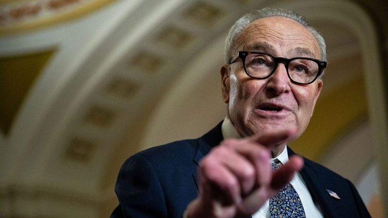  Schumer’s shutdown scheme explained: Dems double down on Obamacare credits as standoff drags on
