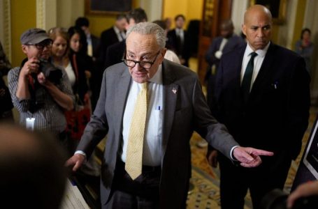 Senate Dems emboldened by weekend rallies block GOP plan to end shutdown for 11th time