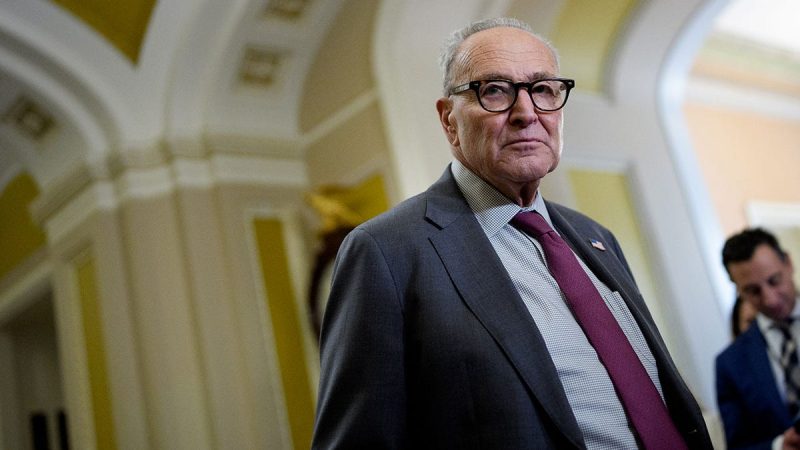  New York Republicans blast Schumer, Gillibrand over shutdown: ‘You’ve abdicated your responsibility’