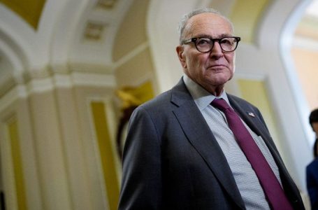 Schumer, Dems call ‘bull—-‘ on Trump administration over food stamp shutdown threat