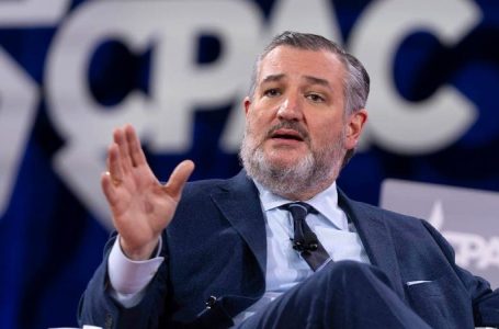 FLASHBACK: Ted Cruz predicts ballooning Obamacare subsidies now at center of shutdown fight