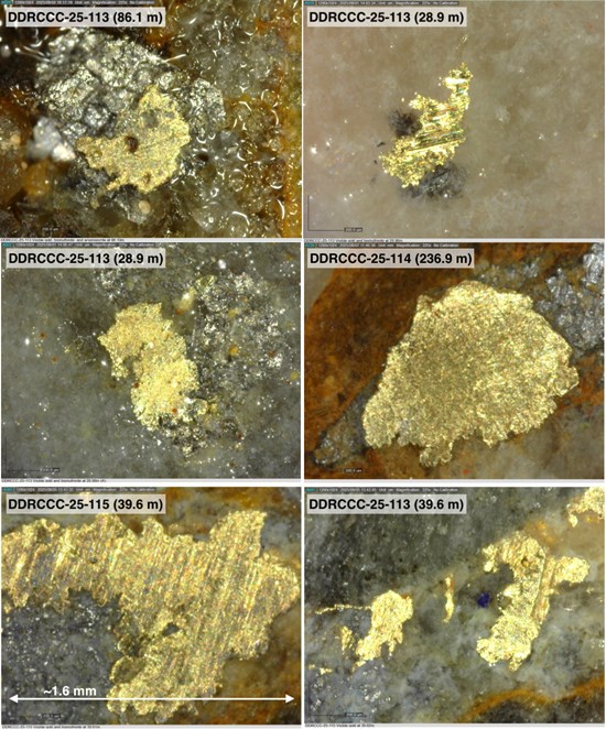 Cannot view this image? Visit: https://businessinsiderjournal.com/wp-content/uploads/2025/11/274133_fc8a8fb4f4ed5acf_006.jpg