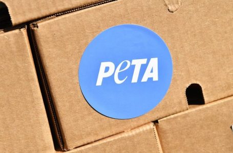 DAN GAINOR: The 5 craziest stories of October — from Karine Jean-Pierre to PETA plaques