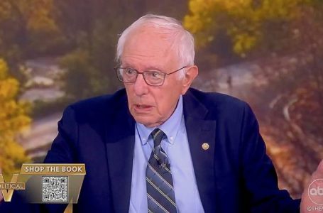 LIZ PEEK: AI layoffs could spark a socialist surge if America ignores the warning signs