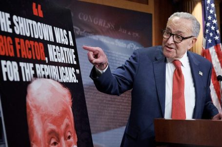 ‘Twisted irony’: Democrats risk betraying their own pet issues with government shutdown gamble