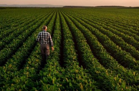 Agriculture Market Update: Q3 2025 in Review