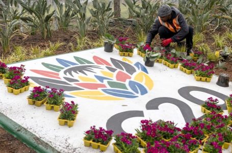 State Dept says G20 boycott tied to South Africa’s ‘government-sponsored discrimination’ against Afrikaners