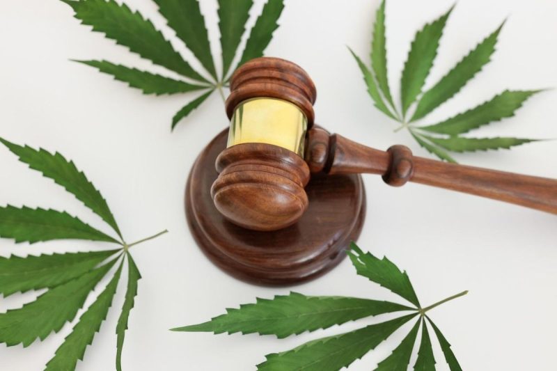  Hemp THC Recriminalization: A Blow to a Blooming Industry