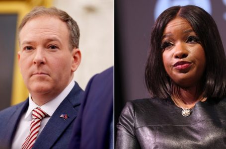 Zeldin, McCain hammer Crockett on Epstein donations claim