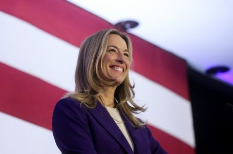 House GOP campaign chair wants Trump ‘out there on the trail’ in midterm battle for majority