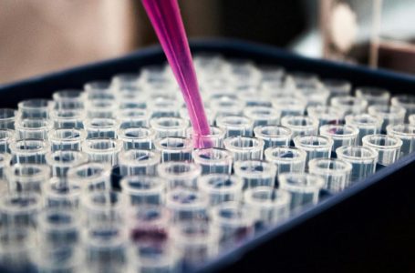 Transforming Disease Detection with AI-Driven Biological Insights