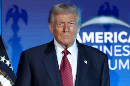 Trump takes aim at ‘BIG, FAT, RICH’ insurance companies, declares the ‘ONLY HEALTHCARE’ he’ll greenlight