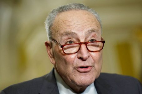 DAVID MARCUS: How Chuck Schumer finally reaped the whirlwind