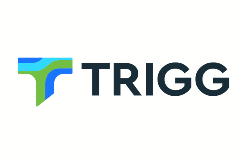  Trigg Minerals