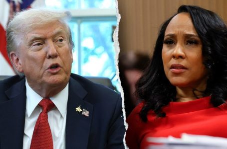 MIKE DAVIS: After Trump case collapses, time for Fani Willis to lawyer up