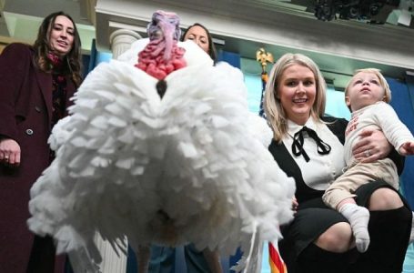 How the White House turkey pardon became an American tradition