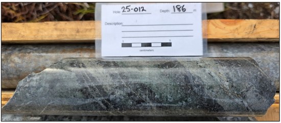 Cannot view this image? Visit: https://businessinsiderjournal.com/wp-content/uploads/2025/12/278191_forgeimg2_550.jpg