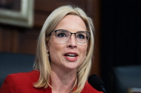 GOP lawmaker unveils bill to ensure fathers shoulder 50% of pregnancy expenses