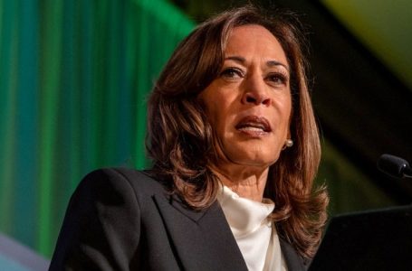 Kamala Harris declares herself a ‘historic’ figure: ‘There will be a marble bust of me’