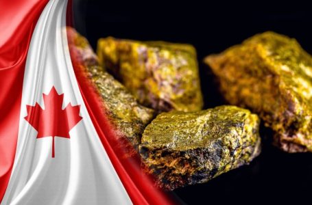5 Best-performing Canadian Uranium Stocks of 2025