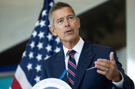 Transportation Secretary Sean Duffy’s pregnant daughter rips ‘unconstitutional’ TSA after ‘invasive pat-down’