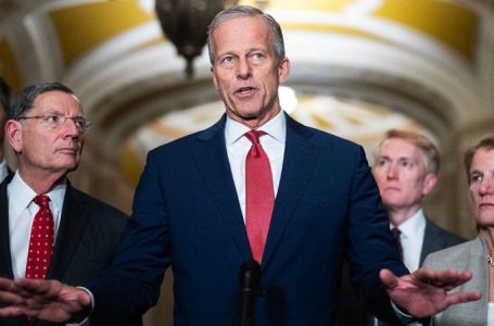 Senate Democrats push Obamacare subsidy vote ‘designed to fail’ as Republicans call plan unserious