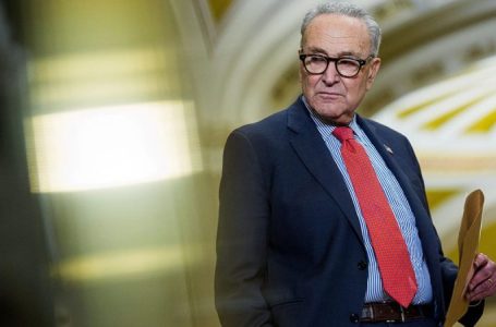 Schumer accuses Trump admin of Epstein files ‘cover-up’ amid document dispute