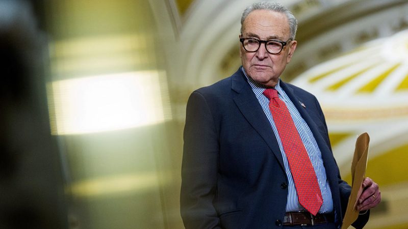 Schumer accuses Trump admin of Epstein files ‘cover-up’ amid document dispute