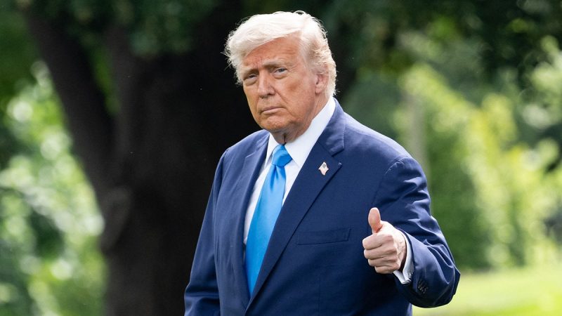  GOP unveils plan for ‘Trump Health Freedom Accounts’ to replace Obamacare subsidies with state waivers