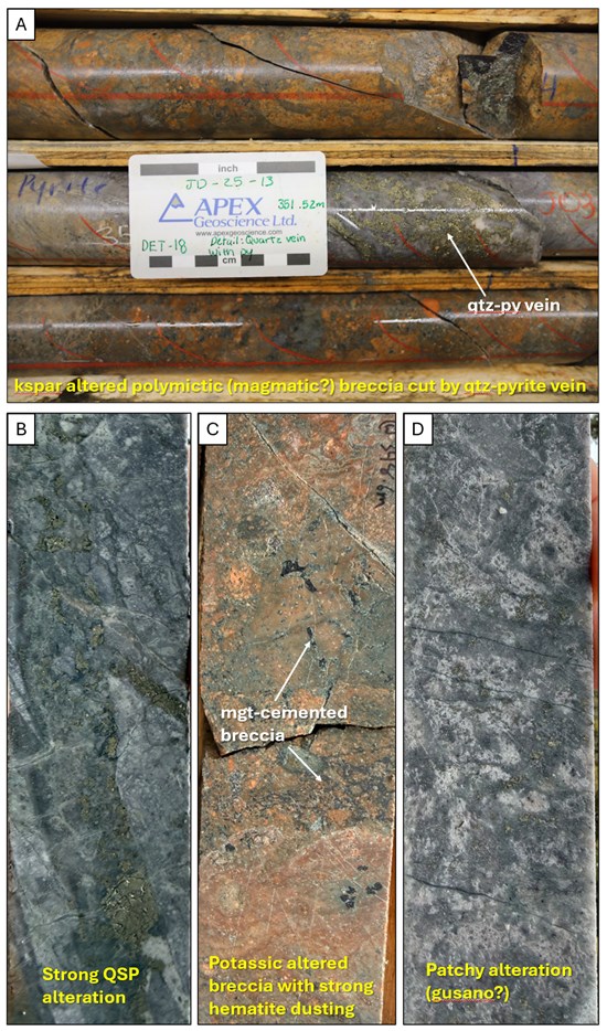 Cannot view this image? Visit: https://businessinsiderjournal.com/wp-content/uploads/2026/01/281199_a90dc3c604b29a4c_007.jpg