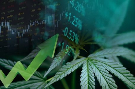 Is 2026 The Year The Cannabis Industry Matures?
