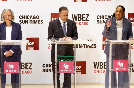 Illinois Dem Senate candidates split on backing Schumer as leader