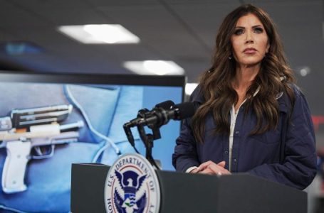 Dems’ DHS shutdown threat would hit FEMA, TSA while immigration funding remains intact