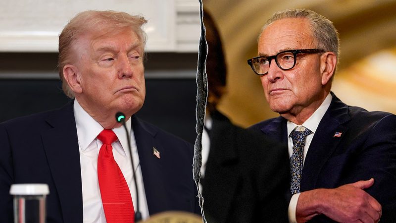  Trump, Schumer reach government funding deal, sacrifice DHS spending bill in the process