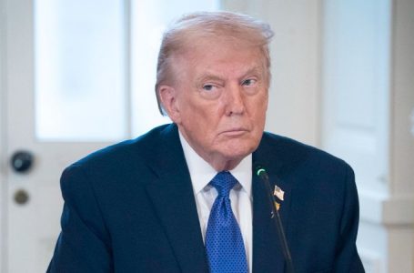 Expert warns of ‘extreme violence’ in Venezuelan mining as Trump admin eyes mineral reserves